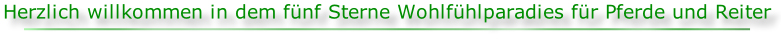 Gut Hohenkamp - Fünf Sterne Wohlfühloase für Pferd und Reiter Gut Hohenkamp - Fünf Sterne Wohlfühloase für Pferd und Reiter