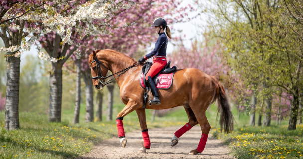 Gut-Hohenkamp Reiterin Gut-Hohenkamp