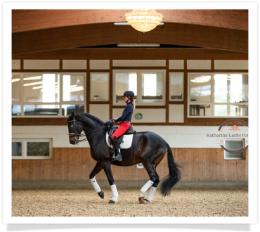 Gut-Hohenkamp Reiterin Gut-Hohenkamp Reiterin